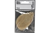 Artykuly Artystyczne & Rzemieslnicze - Creativ Company - Skeleton Leaves Natural Dried Leaves 20 pcs. - 504493