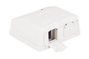 Akcesoria sieciowe - DeLOCK Keystone Surface Mounted Box - 86236