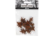 Artykuly Artystyczne & Rzemieslnicze - Creativ Company - Star Anise 10 pcs. - 50244