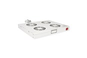 Szafa rack - Roline - rack fan - 4 fans with thermostat - 1U - 26.21.0107