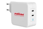 Telefon - Adapter i Ladowarka - Roline power adapter - 24 pin USB-C - 100 Watt - 19.11.1053