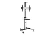 Uchwyty scienne, uchwyty AV i meble AV - Roline stand - for LCD display - silver - Max 50 kg - recommended for 70" - 17.03.1260