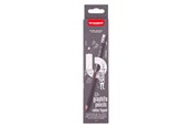Przybory do pisania i rysowania - Bruynzeel Teens Hb Graphite Pencil with Eraser Tip Set 12 - 60211012