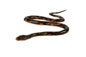 Figurki - Johntoy Snake Soft Touch 135cm - 26328