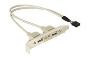 Kabel USB - DeLOCK USB Panel - 10 pin USB Header to USB - 30 cm - 71000