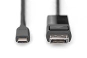 Kabel wyświetlacza - DIGITUS USB Type-C to DisplayPort Bi-Directional Adapter Cable - AK-300334-020-S