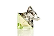 Perfumy i zapachy - Britney Spears Believe Eau de Parfum 30 ml - 719346117708