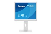 Monitor - 19" iiyama B1980S-W1 - 1280x1024 - 75Hz - TN - B1980S-W1
