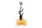 Perfumy i zapachy - Aurora Deciduous Autumn Eau De Parfum For Women 100 ml - 6290360540269