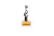 Perfumy i zapachy - Aurora Deciduous Summer Eau De Parfum For Women 100 ml - 6290360540283