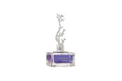 Perfumy i zapachy - Aurora Deciduous Winter Eau De Parfum For Women 100 ml - 6290360540290