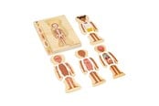 Zabawki dla niemowlat - Bigjigs Wooden Anatomy Puzzle - Girl 26pcs. - 37022