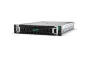 Serwer - Hewlett Packard Enterprise HPE ProLiant DL345 Gen11 - P81838-425