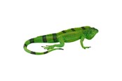 Figurki - Mojo Wildlife Iguana - 381095