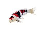 Figurki - Mojo Sealife Koi Carp - Showa Sanshoku Koi - 381103