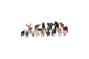 Figurki - Mojo Play Animals School Package 23 pcs. - 8450001