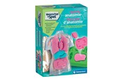 Interaktywne zabawki (Arduino itp.) - Clementoni Science & Play - Squishy Anatomy - 56605