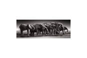 Puzzle - Clementoni Jigsaw Puzzle Herd of Giants 1000pcs. Podłoga - 39895
