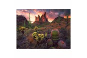 Puzzle - Ravensburger Jigsaw puzzle Cactus 500 pcs. Podłoga - 12001380