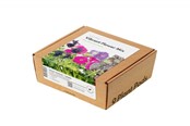 Gadzety - Click & Grow Smart Garden Refill 9-pack Vibrant Flower Mix - PPMVBX9