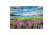Puzzle - Clementoni Jigsaw Puzzle Flowers at Lake Tekapo 1500pcs. Podłoga - 31728