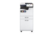 Akcesoria do drukarek - Epson MFP cabinet - high - 7113669