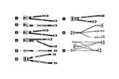 Kabel SATA & ATA - Lenovo SATA / SAS cable kit - 4X97A82939