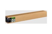 Tusz, toner i materiał eksploatacyjny - Epson Fine Art Cotton Textured Natural 44" x 15m - C13S450279NQ