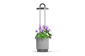 Narzędzia ogrodnicze - Click & Grow HydroVase Indoor Plant Care Kit with LED Light Self-Watering and Automatic Timer - Gray - CGHVGEU