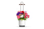 Narzędzia ogrodnicze - Click & Grow HydroVase Grow Fresh Plants Indoors All Year Round with LED Lighting and Self-Watering System - White - CGHVWEU