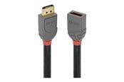 Kabel wyświetlacza - Lindy Anthra Line - DisplayPort extension cable - DisplayPort to DisplayPort - 50 cm - 36498