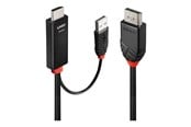 Kabel wyswietlacza - Lindy adapter cable - 2 m - 41499