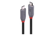 Kabel USB - Lindy Anthra Line - USB-C cable - 24 pin USB-C to 24 pin USB-C - 2 m - 36958