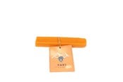 Psy - YAKI - Cheese dog snack with  Pumpkin - 30-40g S - 01-1098