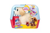 Plusz - Little Live Pets OUCHIES - 26679