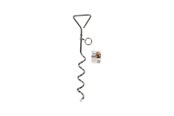 Psy - Pawise - spiral stake 40cm - 888656751501