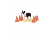 Psy - Pawise - Agility Training Set 30 cm - 636.9010