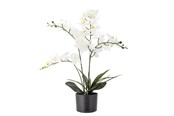 Dekoracje - Bloomingville Orchid - 82061501