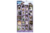 Materialy hobbystyczne - Totum - Sticker sheet Cats - 100668