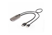Kabel wyswietlacza - StarTech.com HDMI to DisplayPort Adapter 8K 60Hz Active Video Converter - adapter cable - 30 cm - 148B-HDMI-DP-8K