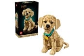 LEGO® - LEGO Icons 11384 Szczeniak golden retriever - 11384