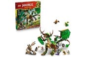 Zabawa w kuchnie i akcesoria - LEGO Smok życia - 71859