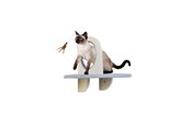 Koty - AFP - Skywalk Groom & Play Platform - Wall-mounted - 2271