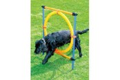 Psy - Pawise - Agility Ring 55Cm - 636.9004