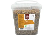 Food, Snacks & Vitamins - Hobby First - Pure Mealworms - 850g - 5400515011532