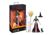 Figurki - Star Wars The Black Series Dathomir Witch (Halloween Edition) 15 cm - G27815L00