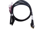 Kabel SAS / SCSI - Microchip Adaptec SAS internal cable - 80 cm - 2305500-R
