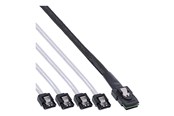 Kabel SAS / SCSI - InLine SAS internal cable - 50 cm - 27620