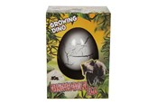 Figurki - Pocket Money Growing Dinosaur Egg 6cm - assorted - 620370