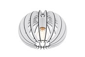 Lampy - EGLO STELLATO SUFIT Ø300 BIAŁY - 95028